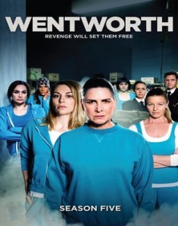 Wentworth staffel 5